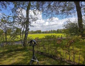 a camera on a tripod in a field with trees at Tiny House in de wei in Holten