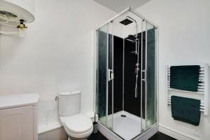 La salle de bains est pourvue de toilettes et d'une douche en verre. dans l'établissement Cosy appartement aux Portes de Paris, à Aubervilliers
