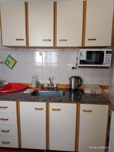 cocina con fregadero y microondas en LIBERATA en Esquel