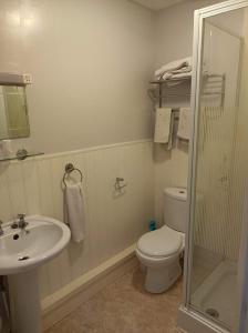 La salle de bains est pourvue de toilettes, d'un lavabo et d'une douche. dans l'établissement Stafford House, à Blackpool
