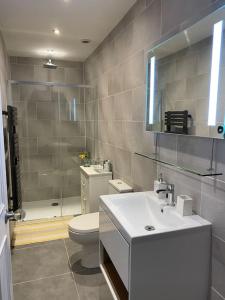 a bathroom with a sink and a toilet and a shower at Regency Apartment in Leamington Spa