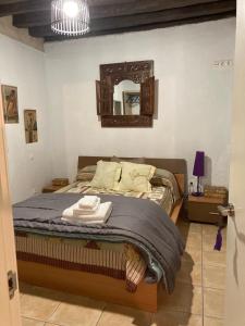 Schlafzimmer mit einem Bett und einem Spiegel an der Wand in der Unterkunft La Casina Apartamento Turistico centro Plasencia AT-CC-0650 in Plasencia