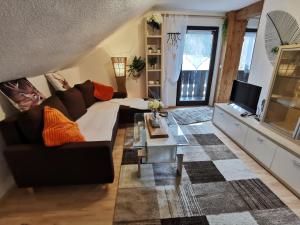 諾舒瑙的住宿－AnNo - Wohlfühlen am Bachal，带沙发和电视的客厅