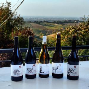 een groep van drie flessen wijn zittend op een tafel bij Montebudello in Valsamoggia