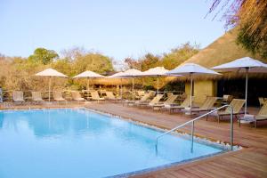 a large swimming pool with chairs and umbrellas at Kapama River Lodge in Kapama Private Game Reserve