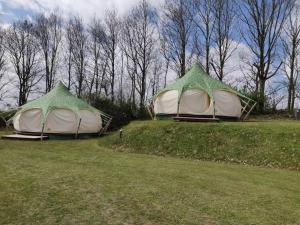 Jardin de l'établissement Terrassen Camping & Cottages