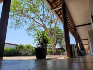 a potted plant sitting on the floor of a building at Pousada Rancho Bonito in Bonito