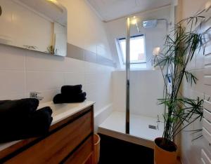 a bathroom with a shower and a sink with two plants at Rooms 6 persons Kaysersberg in Kaysersberg