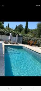 ein blauer Pool mit Stühlen und einem Sonnenschirm in der Unterkunft Magnifique villa à deux pas de St tropez in Cogolin