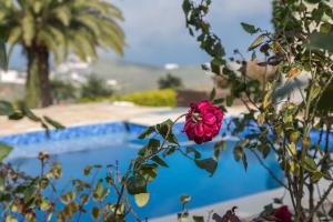 Bazén v ubytovaní Los Paredones Farm - Private Pool - Garden alebo v jeho blízkosti