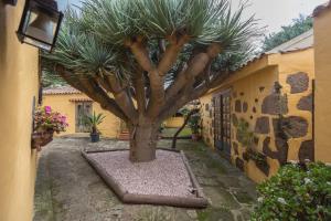 Vonkajšia záhrada v ubytovaní Los Paredones Farm - Private Pool - Garden