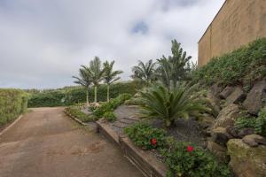 Vonkajšia záhrada v ubytovaní Los Paredones Farm - Private Pool - Garden
