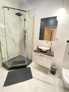 a bathroom with a shower and a sink at Apartament Przytulny in Szczawno-Zdrój