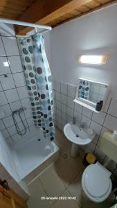 a bathroom with a shower and a toilet and a sink at Pensiunea DANA in Predeal