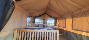 a bedroom in a tent with a bed in it at kabwoya Safari camp Kaiso village in Kisaru