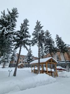 a wooden gazebo in the snow in front of trees at Jermuk Moscow Health Resort in Jermuk