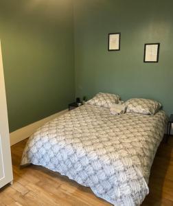 - une chambre avec un lit dans une pièce aux murs verts dans l'établissement LE COSY de Saint-Denis, à Saint-Denis