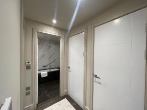 a bathroom with a walk in shower and a sink at Sophisticated 1BR, 1 BA Chigwell Designer Flat CHCL F2 in Chigwell