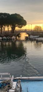 ein Boot im Wasser mit einer Ente im Wasser in der Unterkunft Antonella Gardalake 2 in Desenzano del Garda