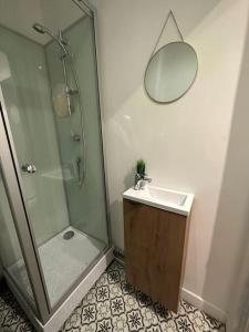 a bathroom with a shower and a sink and a mirror at LE COSY de Saint-Denis in Saint-Denis