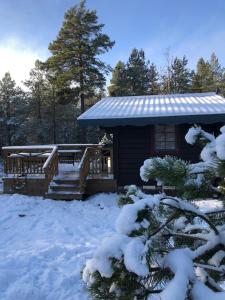 Timber cottages with jacuzzi and sauna near lake Vänern v zimě