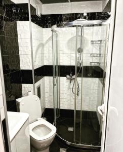 a small bathroom with a toilet and a shower at Elegant Stay in the Heart of Plovdiv Old Town in Plovdiv