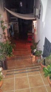a hallway with potted plants on the floor at Apartamento casco antiguo Vejer in Vejer de la Frontera