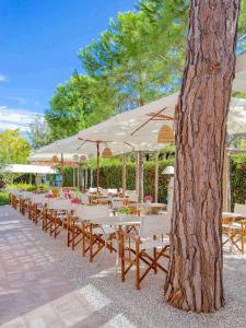 une longue rangée de tables et de chaises avec parasols dans l'établissement Hotel La Pineta Al Mare, à Forte dei Marmi