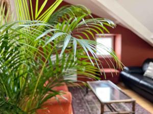 Fotografia z galérie ubytovania Le Triplex Terracotta v destinácii Nantes