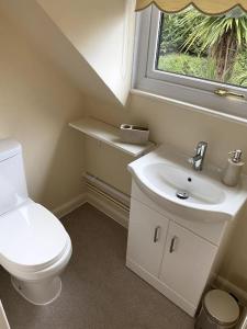 a bathroom with a toilet and a sink and a window at Little Acre, a spacious hidden gem with hot tub in Kington