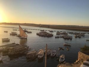 um grupo de barcos ancorados numa massa de água em Villa Misk em Aswan