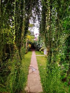 un chemin au milieu d'un jardin dans l'établissement Mandara Rest, à Hikkaduwa
