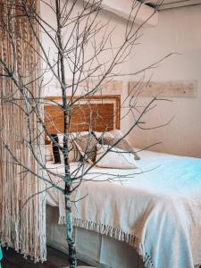 a bedroom with a bed and a tree at Suite con Burbuja in Canyelles