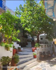 un gruppo di scale con piante, sedie e un albero di Fasolas square studio 15m2 is located 30 stairs up from the main road and it is in the old market fasolas and next to the museums a Philotium
