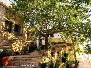 Giardino di Fasolas square studio 15m2 is located 30 stairs up from the main road and it is in the old market fasolas and next to the museums