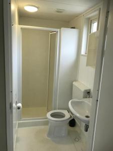 a white bathroom with a toilet and a sink at Vacare chalet in Drijber