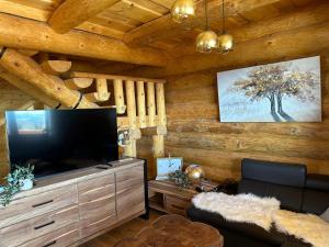 TV a/nebo společenská místnost v ubytování Reimers Chalets Hochrindl 2A
