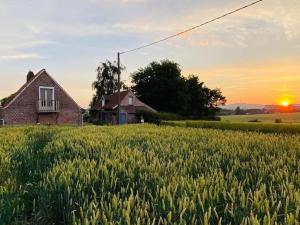 una casa vieja en un campo con la puesta de sol en el fondo en Cottage chaleureux au cœur des Monts de Flandres, en Saint-Jans-Cappel