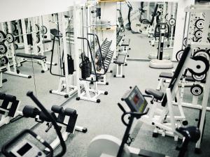 a gym with rows of cardio equipment and machines at Tradition Julen Hotel in Zermatt