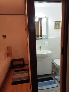 a bathroom with a sink and a toilet and a mirror at Residence Gölsch 161 in Sînpetru