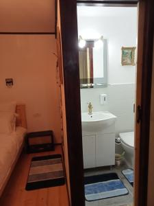 a bathroom with a sink and a toilet and a mirror at Residence Gölsch 161 in Sînpetru +44 photos