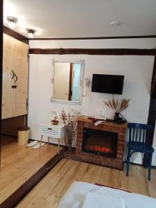 a living room with a fireplace and a tv at Residence Gölsch 161 in Sînpetru