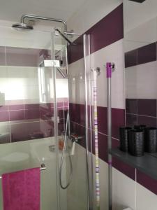 サルゾーにあるMOR-HA-MARCH Studioの紫と白のタイル張りのバスルーム(シャワー付)