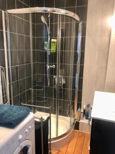 La salle de bains est pourvue d'une douche et d'un lave-linge. dans l'établissement L'Aiguillon, bel appartement hyper-centre, à Brest