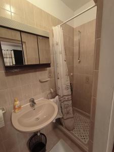 Koupelna v ubytování Apartman Marija