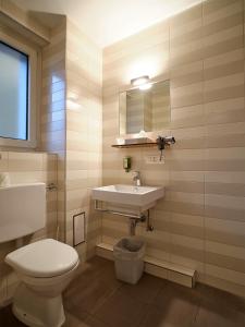 uma casa de banho com um WC, um lavatório e um espelho. em Hotel Astoria em Olten mais 37 fotografias