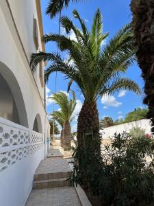 a palm tree on a sidewalk next to a building at Maison du Cap Bon,Ben Hamida in El Haouaria