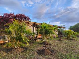 a house with palm trees in front of it at Cabañas Kainga in Hanga Roa