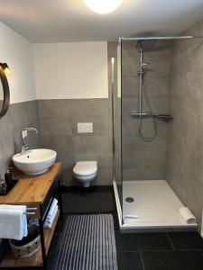 a bathroom with a shower and a sink and a toilet at Ferienwohnung II Beck-Bräu nahe Bamberg in Lisberg