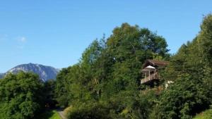 una casa en medio de un bosque de árboles en Chalet Hüsli en Giswil